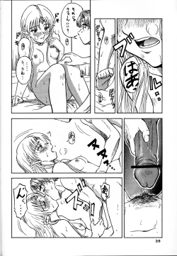 Page 36 of Tsuihou Kakugo Ver 7.0 - Seikai Tokushuu 3