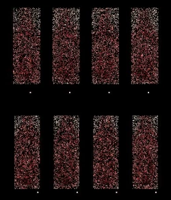 Page 183 of ◆FANBOX◆ ナズナ