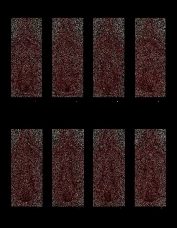 Page 185 of ◆FANBOX◆ ナズナ