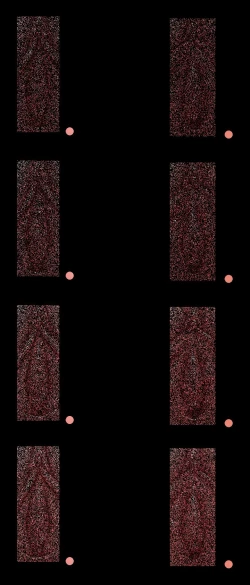 Page 262 of ◆FANBOX◆ ナズナ