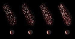 Page 281 of ◆FANBOX◆ ナズナ