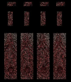 Page 43 of ◆FANBOX◆ ナズナ