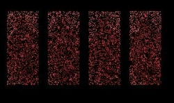 Page 82 of ◆FANBOX◆ ナズナ