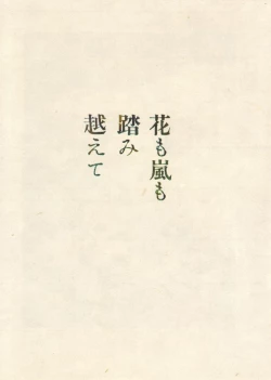 Page 41 of MARUOGRAPH EX 2