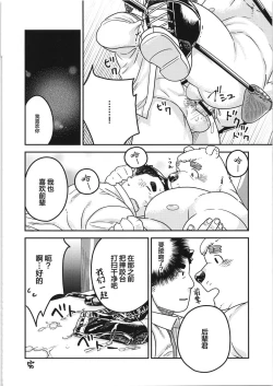 Page 17 of CHOGOKIN-004