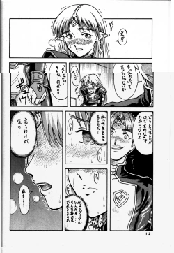 Page 12 of TUIHOU-KAKUGO Ver 4.0