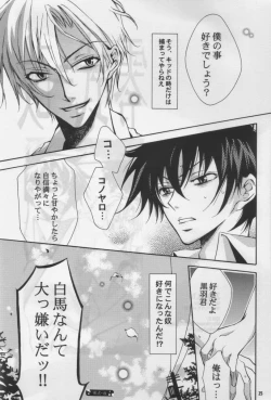 Page 24 of ZEROSHIKI-KAI