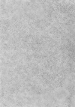 Page 2 of Little by Little