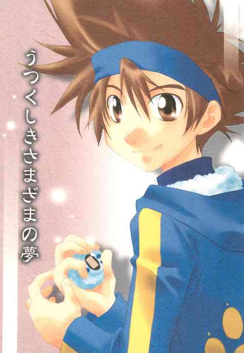 Download Utsukushiki Samazama no Yume