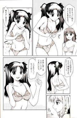 Page 3 of Shiritsu Fate Gakuen