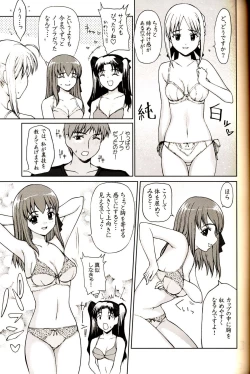 Page 4 of Shiritsu Fate Gakuen
