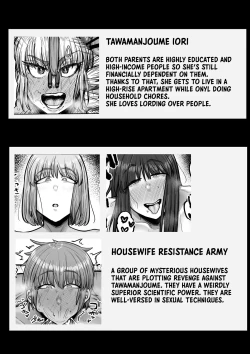 Page 3 of Suburban Mansion Looking For Tenants