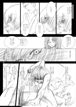 Page 27 of Interview with Telmit