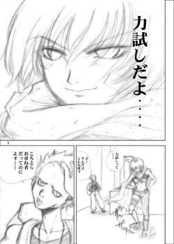 Page 3 of Interview with Telmit