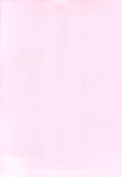 Page 2 of Bou Yuumei Koukou Joshi Toilet Tousatsu 2-jigen Bishoujo Hen Vol. 4