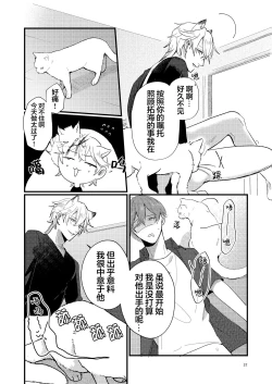 Page 37 of 捡回家的猫竟是猫妖