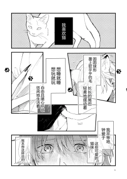 Page 5 of 捡回家的猫竟是猫妖