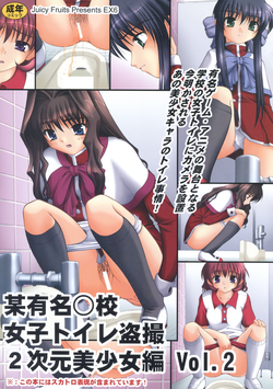 Download Bou Yuumei Koukou Joshi Toilet Tousatsu 2-jigen Bishoujo Hen Vol. 2