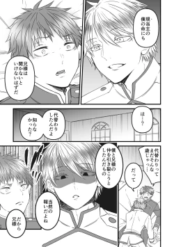 Page 12 of 魔術の素養が高い弟と落ちこぼれの兄