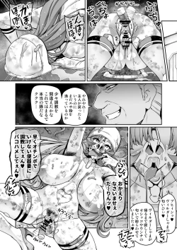 Page 25 of Touma Senki Cecilia IF
