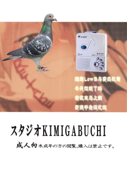 Page 31 of Kitakubu Gal no Asobikata