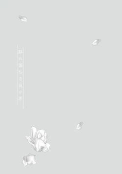 Page 29 of White flowers falling in clusters