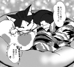 Page 258 of 僕の彼女が他人棒で絶頂いたす