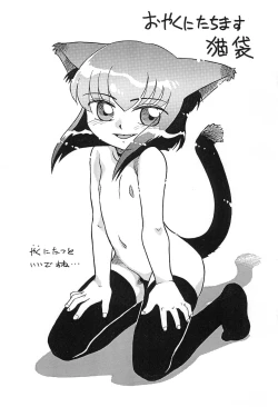 Page 3 of Oyaku ni Tachimasu Nekobukuro