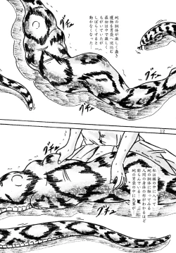 Page 12 of Ikenie Seminar