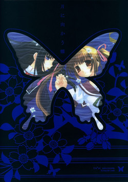 Download 月に向かう蝶