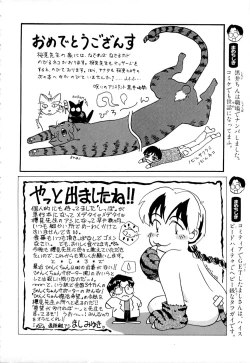 Page 177 of Shippo no Shikumi