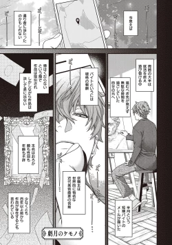 Page 151 of Meguriyo   no Kemono