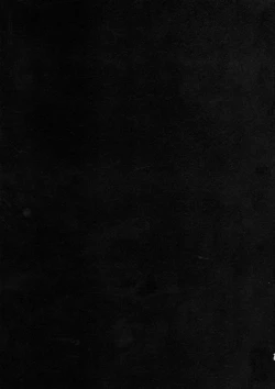 Page 12 of RISK Gauge Max