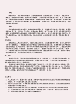 Page 204 of 碧蓝航线系列