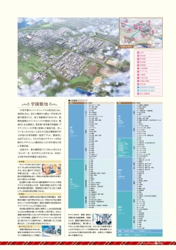 Page 43 of Dai toshokan no hitsujikai bijuarufanbukku