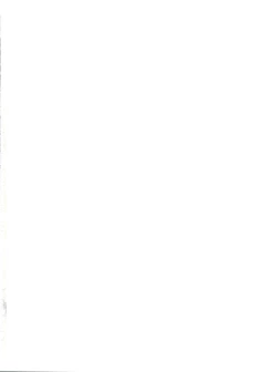 Page 2 of Sakura Festival