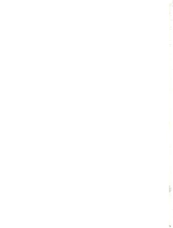 Page 43 of Sakura Festival