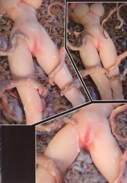 Page 6 of SEE-THROUGH ANGEL