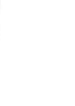 Page 3 of Ichibanboshi o Mitsukete | 我见到的第一颗星