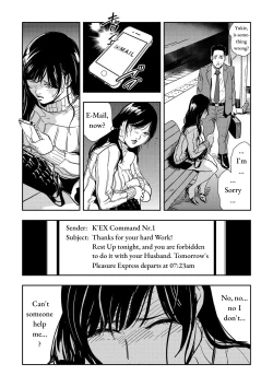 Page 25 of Chikan Express Ch.02