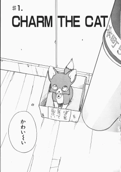 Page 7 of Charm The Cat