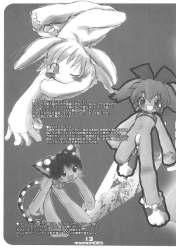 Page 13 of maebari DES