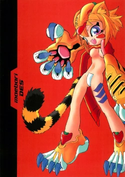 Page 1 of maebari DES