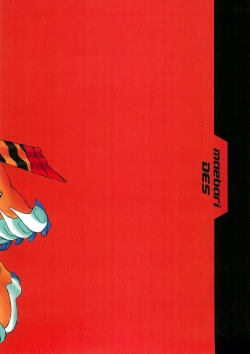 Page 20 of maebari DES