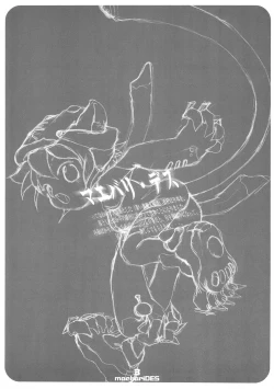 Page 3 of maebari DES