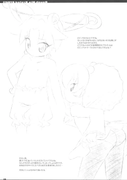 Page 13 of R.M.X.070211