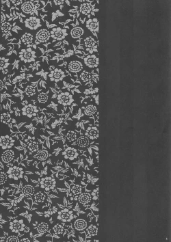 Page 3 of INU/AO Posterior