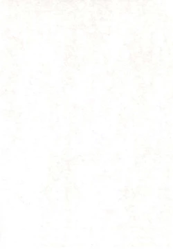 Page 4 of Puni Para petit