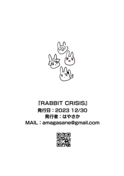 Page 22 of RABBIT CRISIS