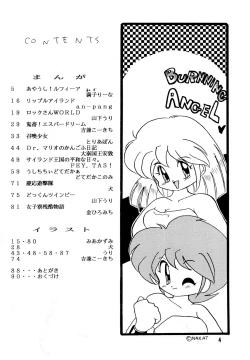 Page 4 of DEEP SWITCH II’